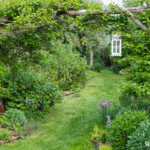 How To Transform Your Yard Into a Permaculture Paradise